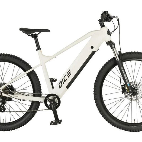 Prophete E-Bike Mountainbike Dice 1.8, 8 Gang Shimano Altus, Heckmotor, 360 Wh