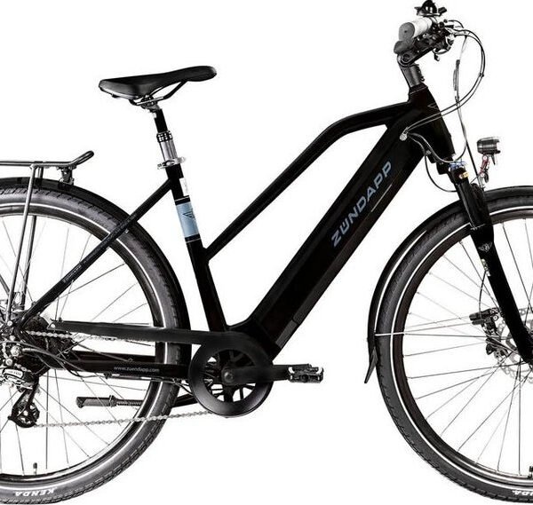 Zündapp E-Bike Trekkingrad Z810, 24 Gang Shimano Altus, Heckmotor, 417,6 Wh