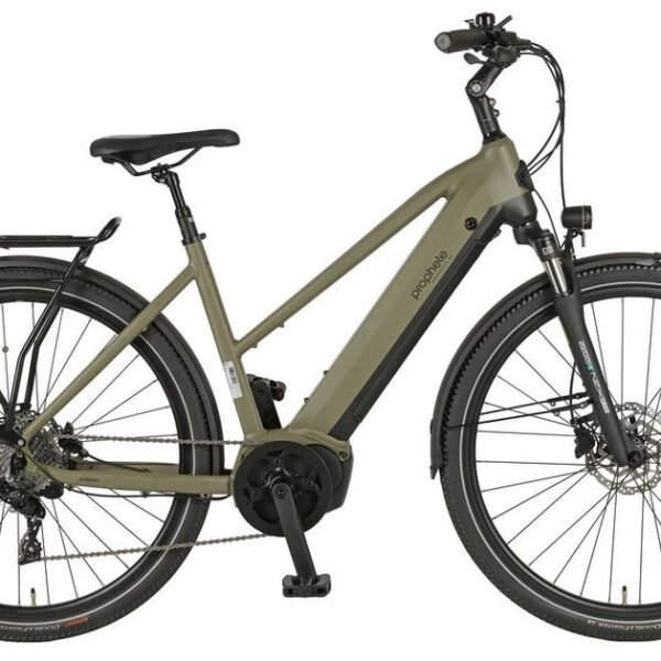 Prophete E-Bike Trekkingrad Entdecker 4.0, 10 Gang, Mittelmotor, 540 Wh