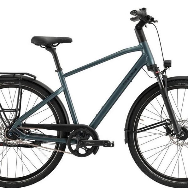 Pegasus Cityrad Strong SL 8 Herren, grün, 8 Gang SHIMANO Nexus 8