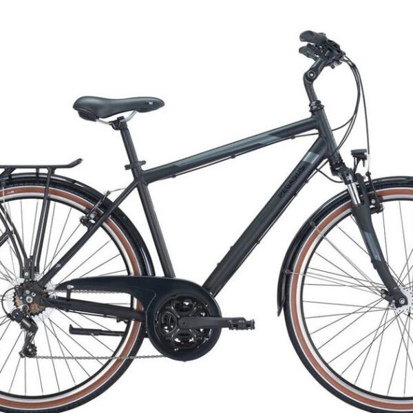 Pegasus Trekkingrad Piazza 21 Herren, 21 Gang SHIMANO, Schwarz 2026