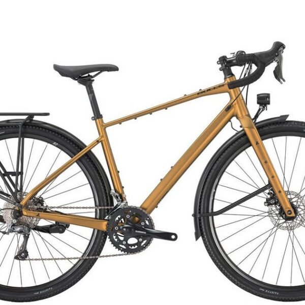 Bulls E-Bike Daily Grinder 1 Gold 2025, 16 Gang Shimano Claris, Kettenschaltung
