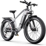 DUOTTS E-Bike Cityrad F26lite, 48V 864Wh, 7 Gang Shimano, 100km Reichweite